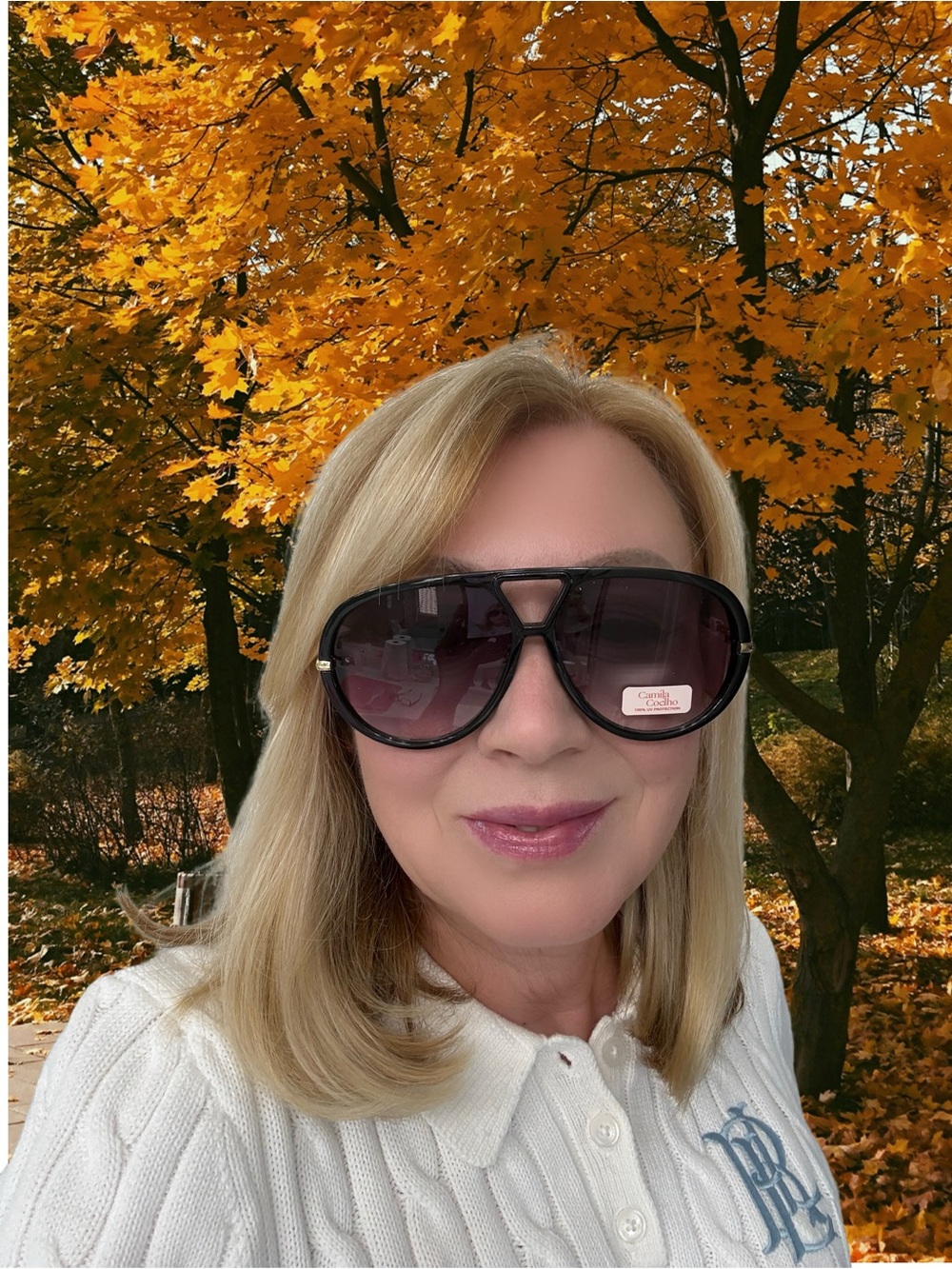 Camila Coelho Black & Gold Sunglasses NWT